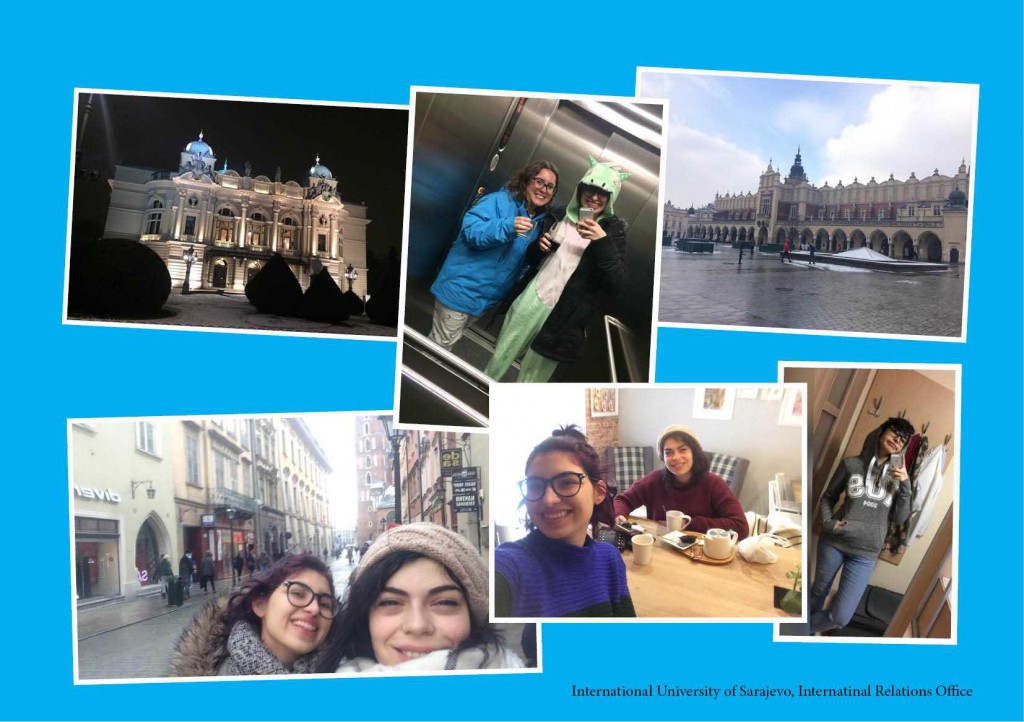 My Exchange in Zielona Gora