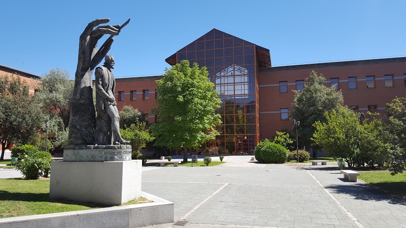 REY JUAN CARLOS UNIVERSITY, SPAIN 