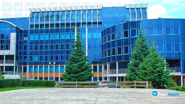 UNIVERSITY OF ZIELONA GORA, ACADEMIC 2024 / 2025 