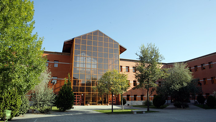 REY JUAN CARLOS UNIVERSITY, SPAIN 