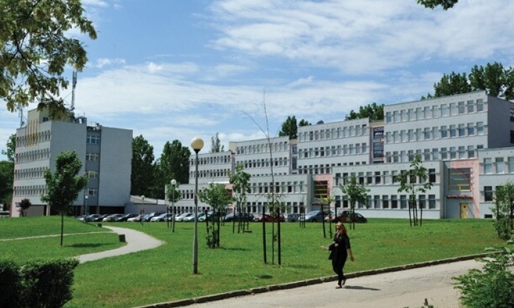 zg